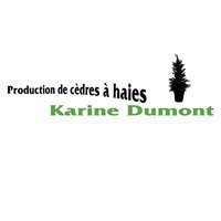 Cèdre à Haie Karine Dumont | Cèdres en pot - vente et installation partout au Québec
