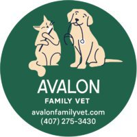 Avalon Family Vet