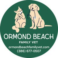 Ormond Beach Family Vet