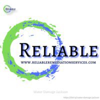 Reliable Mold and Water Remediation Services