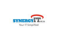Synergy IT Professional