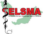 Selsma - Laparoscopic Surgery For Hernia