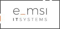 e-MSI IT Systems LLC.