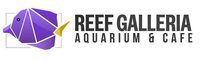 Reef Galleria Aquarium & Cafe