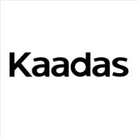 The Smart Series (Kaadas)
