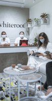 Whiteroot dental care