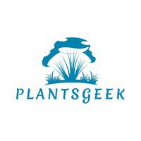 Shiitake-Zuchtset (Substratblock) kaufen bei PlantsGeek!