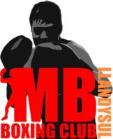 MB Boxing and fitness