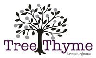 Tree Thyme Tree Surgeons