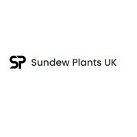 Sundew Plants UK