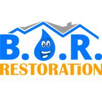 Best Option Restoration (B.O.R.) of Denver Tech Center