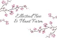 Ellestad Tree And Plant Farm