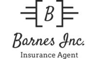 Barnes Inc - Insurance Agent