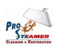 Pro Steamer Cleaning and Restoration