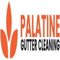 Palatine Gutter Cleaning