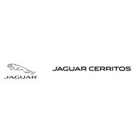 Envision Jaguar