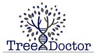 Tree Dr - Tree Surgeons