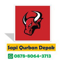 Jual Sapi Qurban Di Depok WA 087880643713