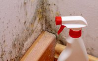 Mold Experts of Omaha