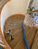 Los Pro Carpet Cleaning