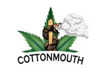 Cottonmouth Coaching