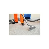 Carpet cleaning Hamilton Pro
