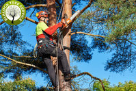 Blalock Tree Service
