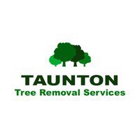 Taunton Tree Removal Services