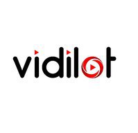 Vidilot LLC