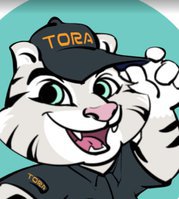 Tora Master Carpet & Upholstery Cleaning