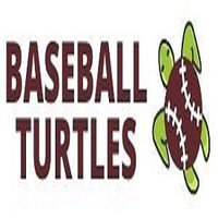 Baseball Turtles