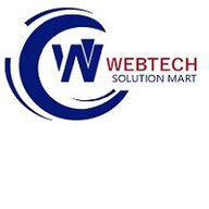 Website Design and Development SEO Services Agency - Web Tech Solution Mart