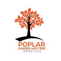 poplar tree services