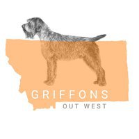 Griffons Out West