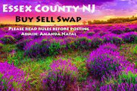 Buy Sell Live NJ – Union & Essex Co. Real Estate 