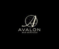 Avalon Bus