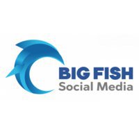 Big Fish Social Media