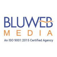 BluWebMedia IT Services Pvt. Ltd