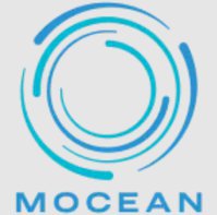 MOCEAN Physical Therapy and Wellness