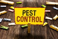 Connect 2 Pest Control Service LLP Ahmedabad