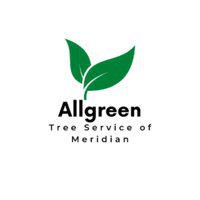 Allgreen Tree Service Meridian