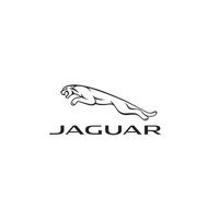 Jaguar Chesterfield
