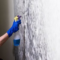 Mold Experts of Rockville