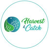 Harvest and Catch Online Seafood
