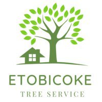 Etobicoke Tree Service