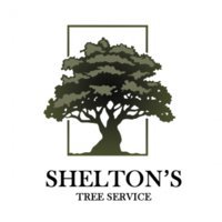 Shelton's Tree Service