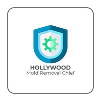 Hollywood Mold removal Chief