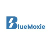 Blue Moxie Limited