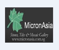 MICRON ASIA PTE LTD