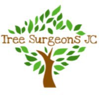 Tree Surgeons JC Leicester